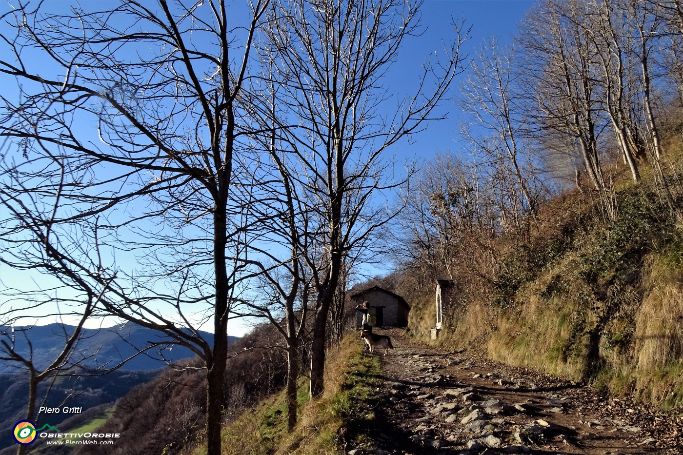 25 Il bosco dirada e la vista spazia sulla valle.JPG -                                